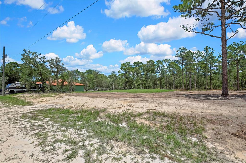A vacant, sandy lot features scattered patches of grass and a line of pine trees — 16126 MEDRICK ROAD, BROOKSVILLE, FL
