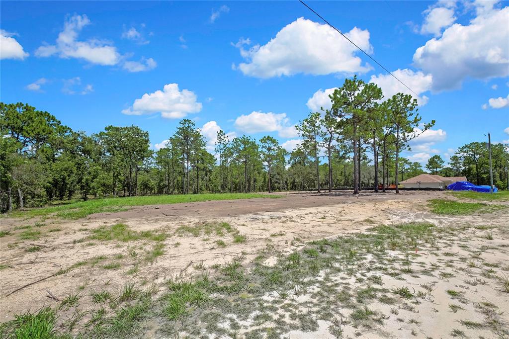 A cleared, sandy residential lot features scattered patches of grass and surrounding pine trees — 16126 MEDRICK ROAD, BROOKSVILLE, FL