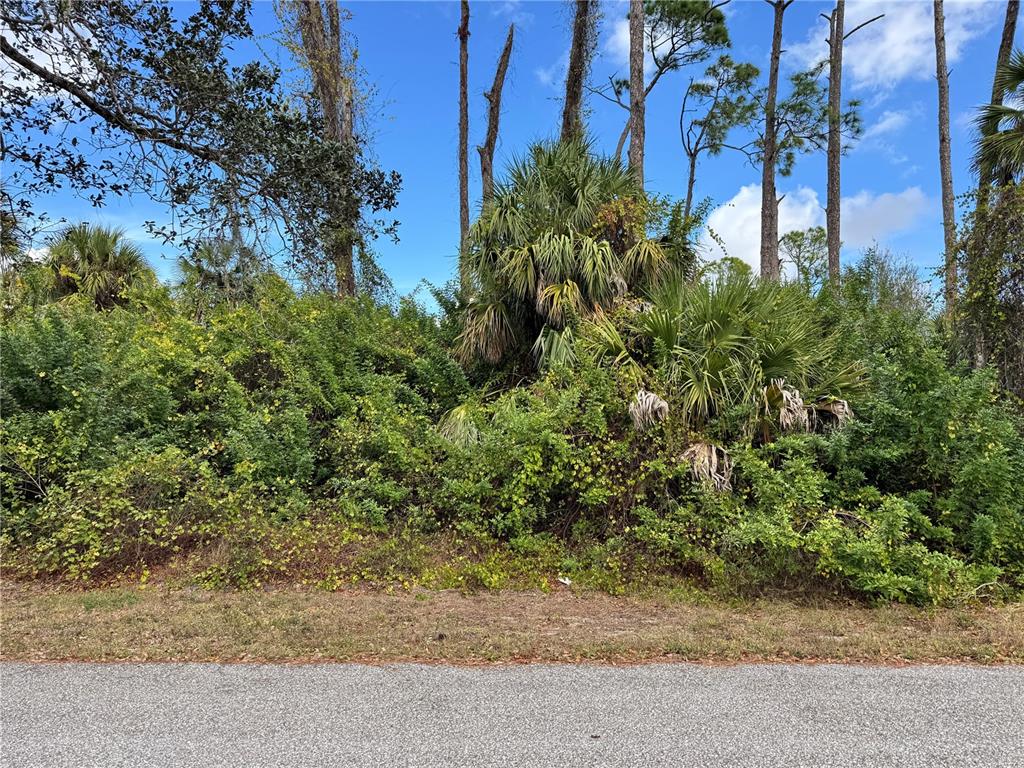 A dense thicket of green vegetation and palm trees stands behind an asphalt road — 17380 VALLYBROOK AVENUE, PORT CHARLOTTE, FL