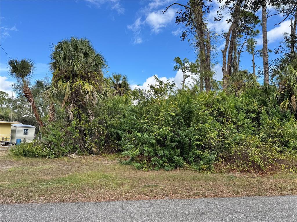 A view of a grassy lot with dense vegetation and a small shed — 17380 VALLYBROOK AVENUE, PORT CHARLOTTE, FL