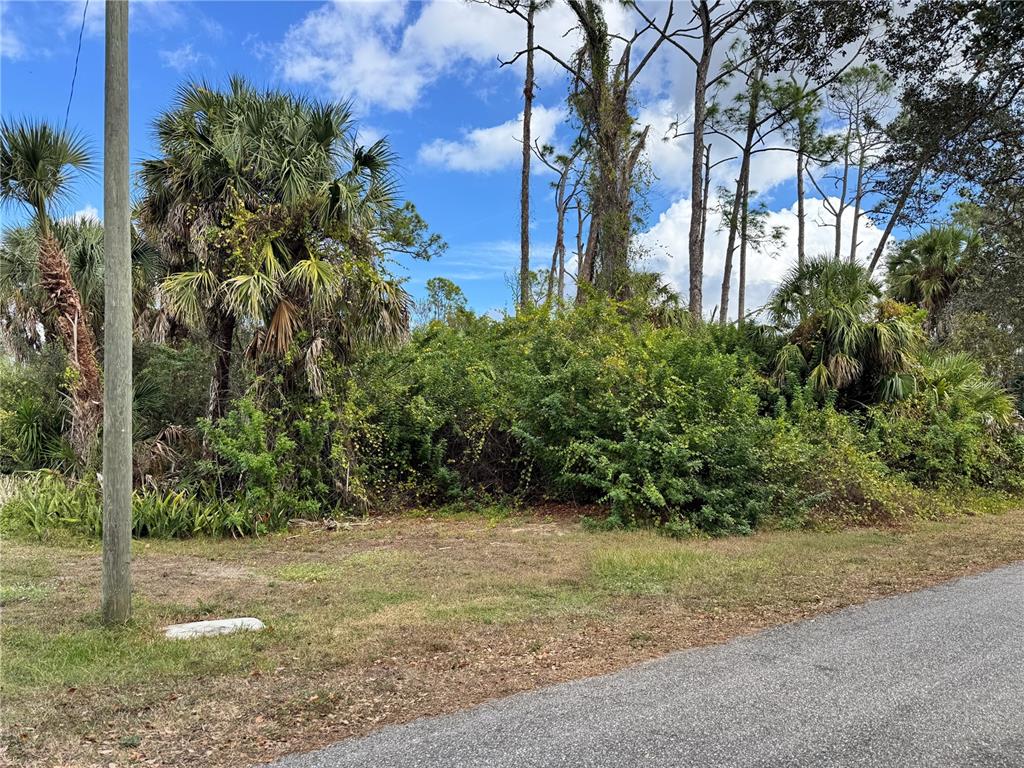 A vacant, overgrown lot with trees and shrubs sits next to a paved road — 17380 VALLYBROOK AVENUE, PORT CHARLOTTE, FL