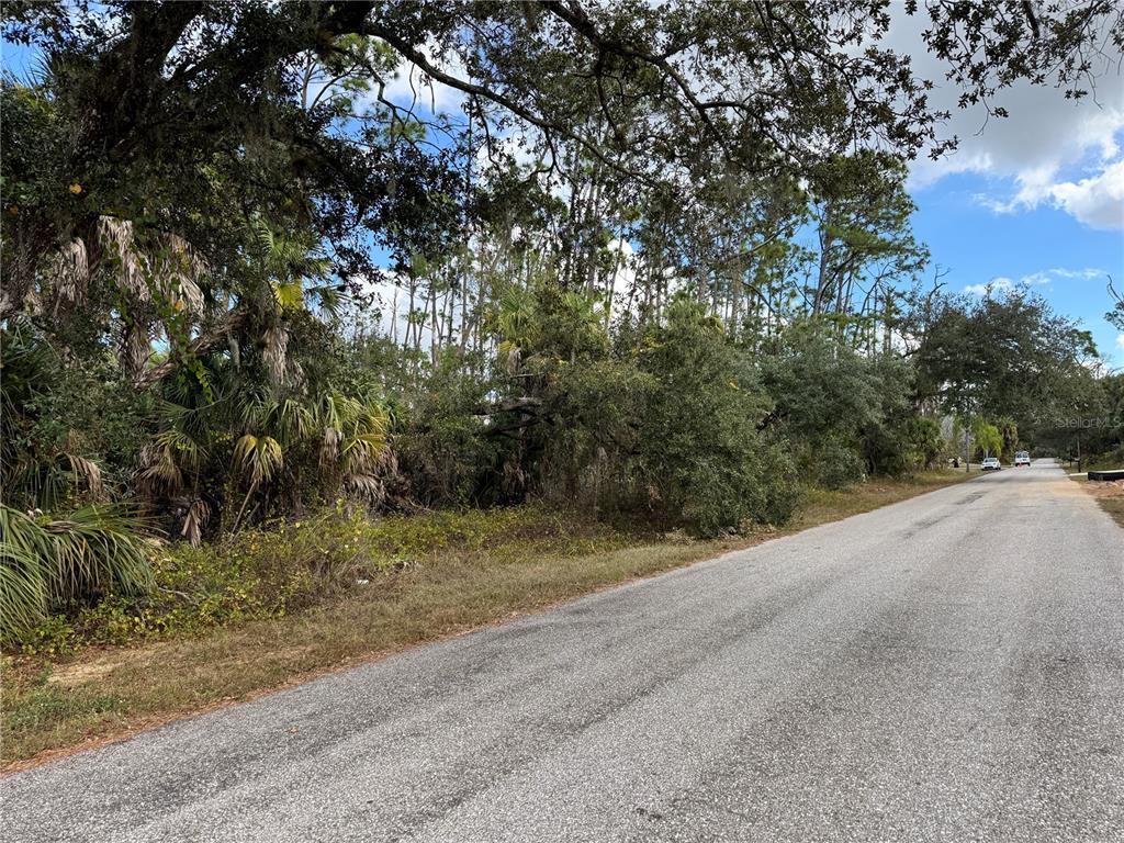 A paved road runs alongside a wooded lot with dense trees and palm vegetation — 17380 VALLYBROOK AVENUE, PORT CHARLOTTE, FL