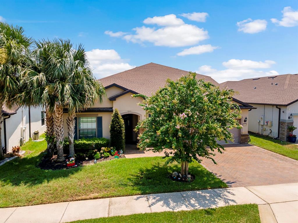 A single-story house with a brick driveway, a palm tree, and a flowering tree in front — 1271 PATTERSON TERRACE, LAKE MARY, FL
