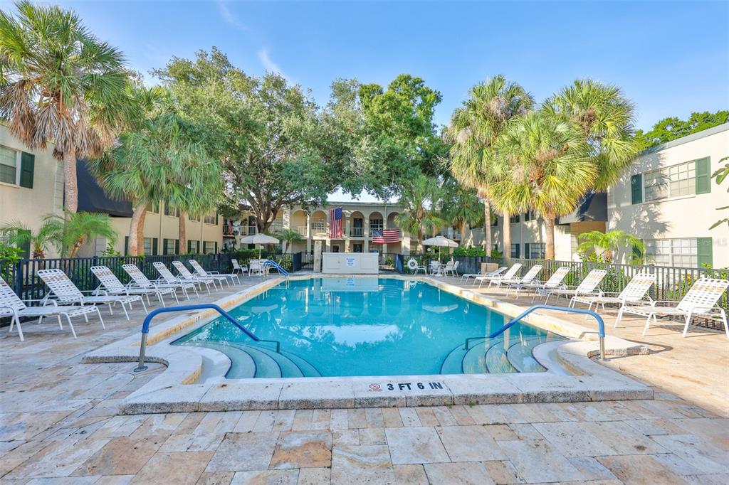 An outdoor swimming pool surrounded by lounge chairs, palm trees, and multi-story apartment buildings — 4315 AEGEAN DRIVE UNIT 102C, TAMPA, FL