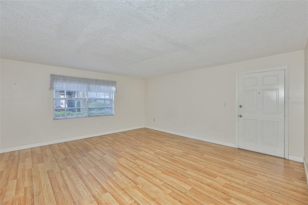An empty living room features light-colored walls, wood-look flooring, and a white front door — 4315 AEGEAN DRIVE UNIT 102C, TAMPA, FL
