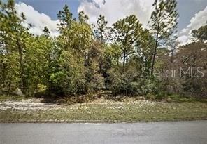 A wooded, undeveloped residential lot is viewed from an adjacent paved street — MARION OAKS PASS, OCALA, FL