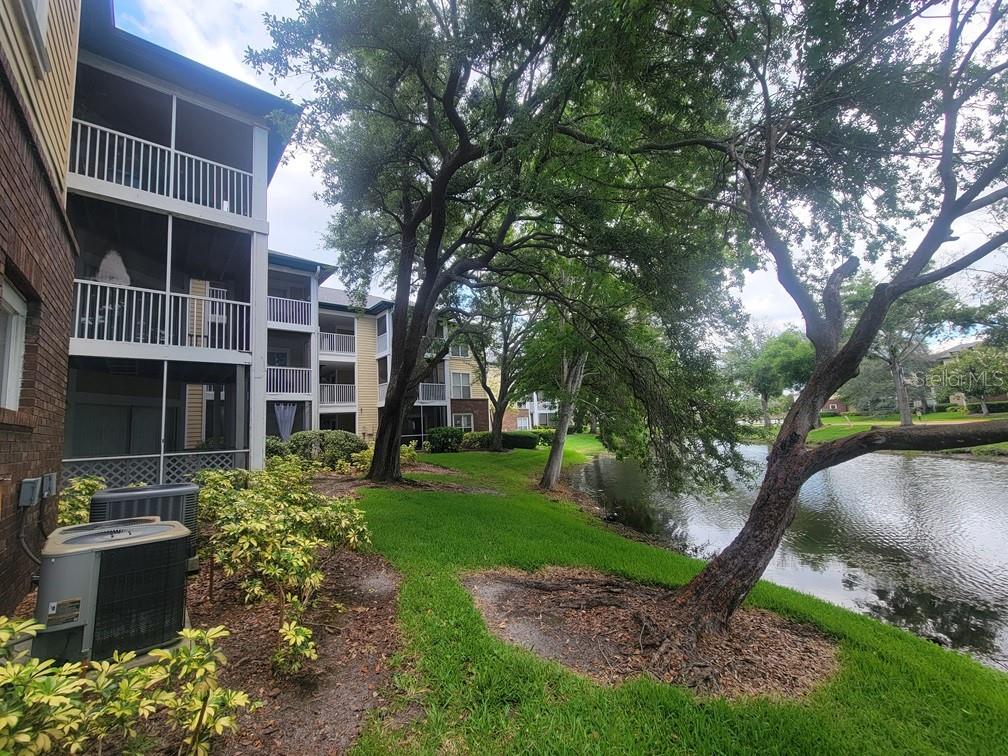 Exterior view of apartment balconies overlooking a grassy lawn and a small pond — 10024 STRAFFORD OAK COURT UNIT 813, TAMPA, FL