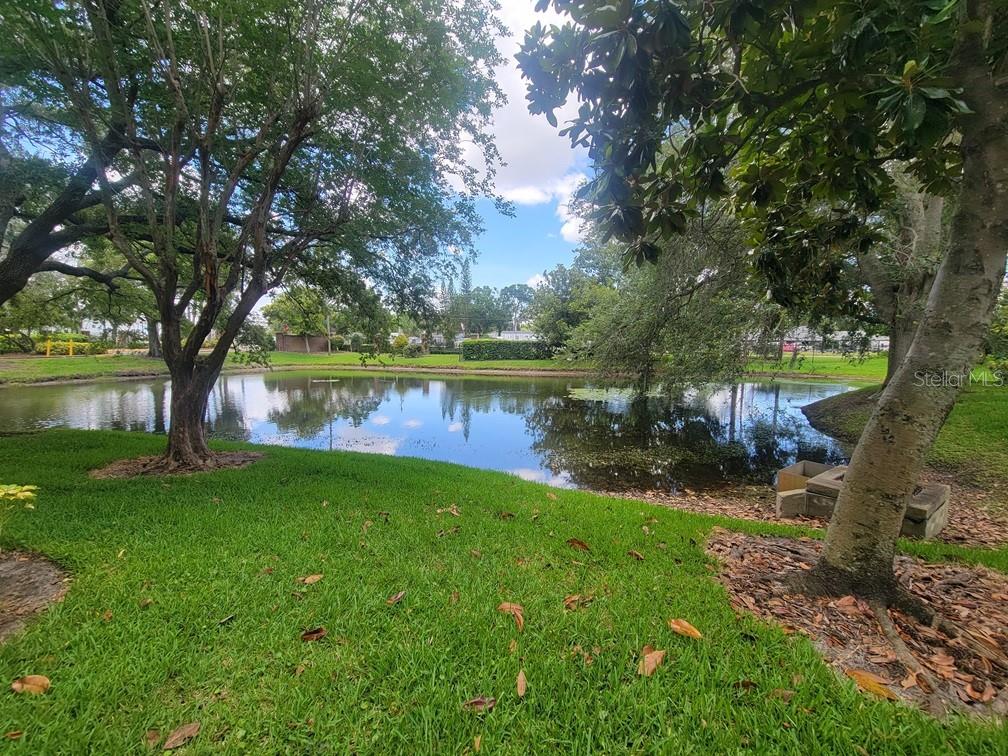 A grassy yard overlooks a small pond surrounded by mature trees under a blue sky — 10024 STRAFFORD OAK COURT UNIT 813, TAMPA, FL