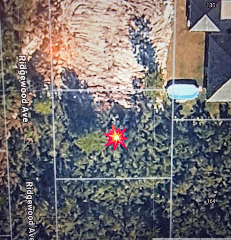 This is a satellite map view showing a wooded lot adjacent to a residential property — RIDGEWOOD AVENUE, ORANGE CITY, FL