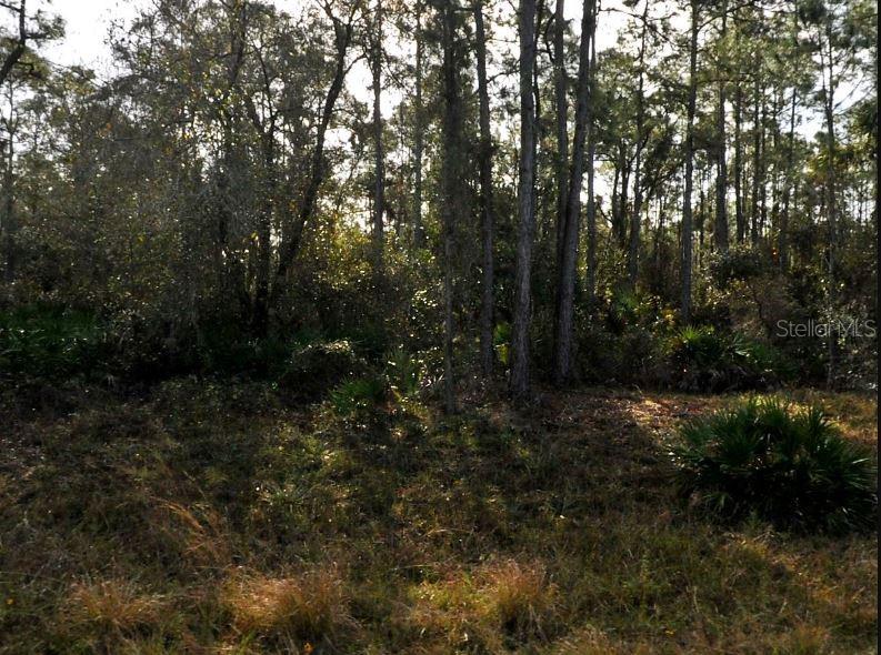 LESTOCK AVENUE, NORTH PORT, FL — photo 2 of 6