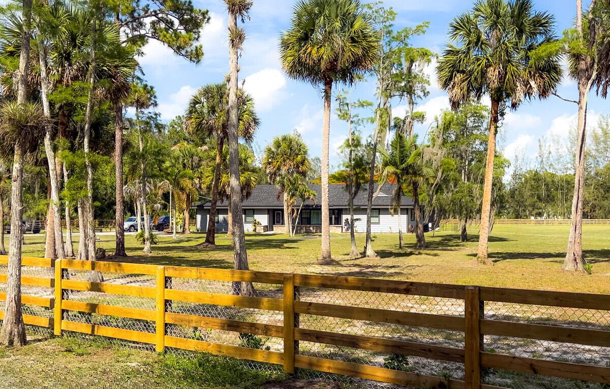 A single-story house sits behind a wooden fence in a yard filled with palm trees — 1464 Clydesdale Drive, FL 33470, FL