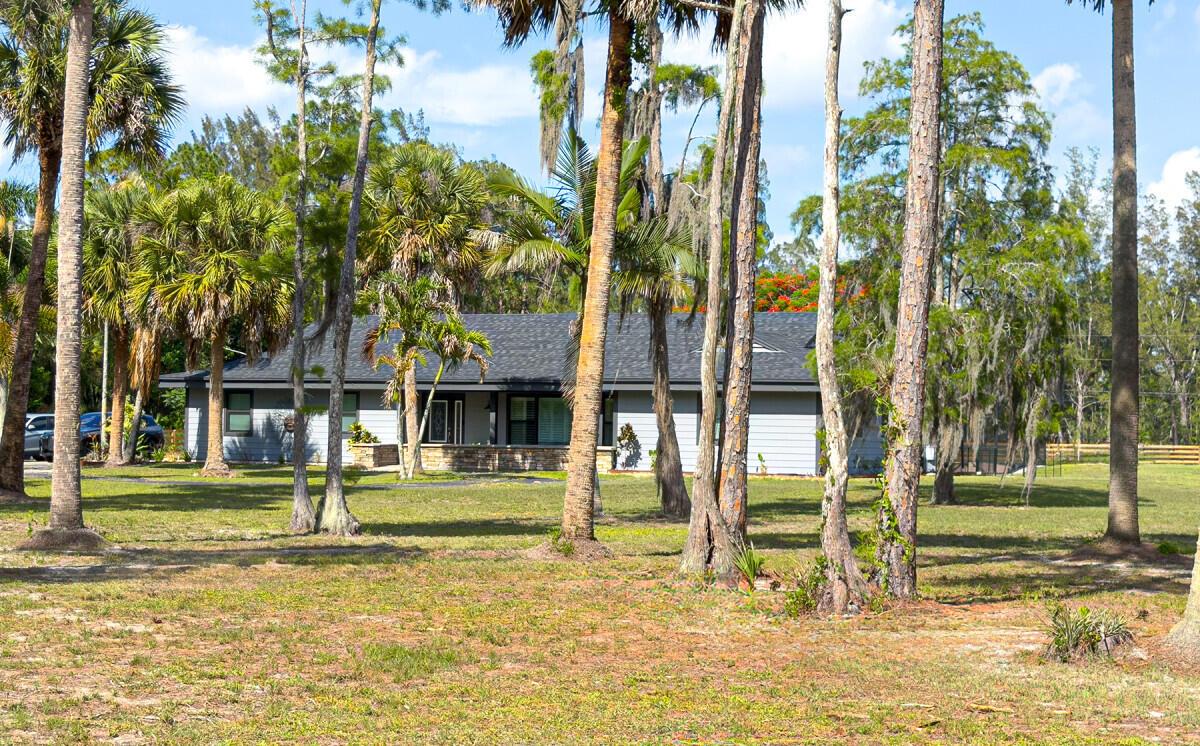 A gray single-story house sits on a grassy lot surrounded by many tall trees — 1464 Clydesdale Drive, FL 33470, FL