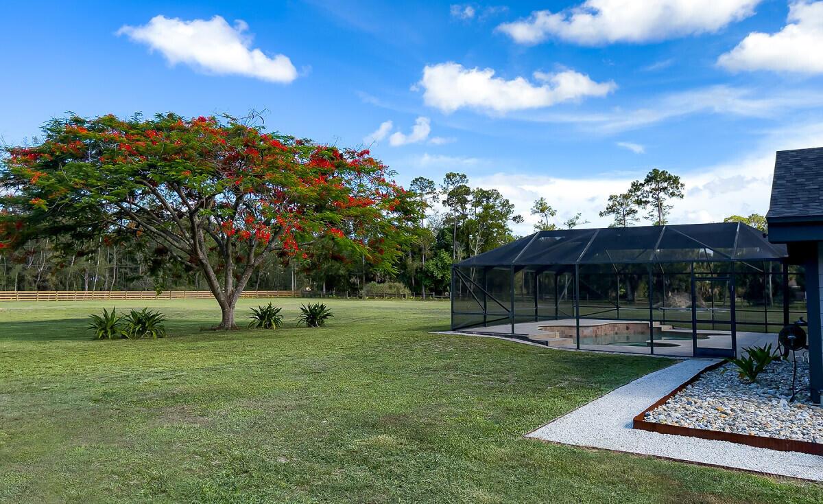 A large backyard features a screened-in pool enclosure and a flowering tree on green grass — 1464 Clydesdale Drive, FL 33470, FL