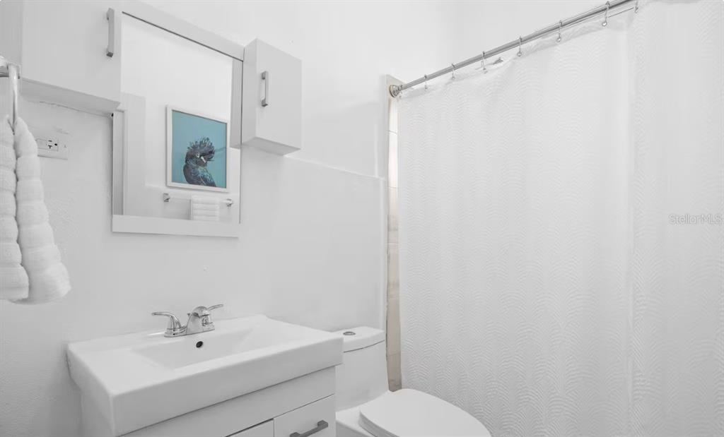 A bathroom features a white vanity, a mirror, a toilet, and a shower with curtains — 250 CALLE DEL PARQUE UNIT 1B, SAN JUAN, PR
