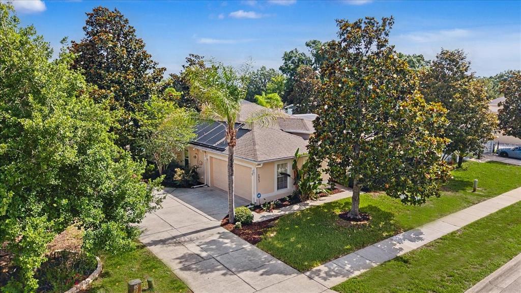 An aerial view of a single-story suburban house with a driveway and mature trees — 2543 PALMETTO RIDGE CIRCLE, APOPKA, FL