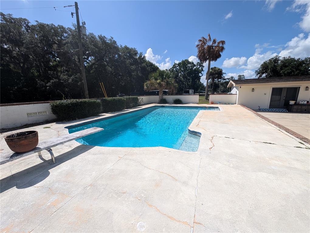 A backyard swimming pool with a diving board and concrete patio under a blue sky — 1750 SE 80TH STREET, OCALA, FL