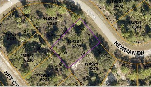 An aerial map view shows a vacant, rectangular residential lot outlined in purple — NEWMAN DRIVE, NORTH PORT, FL