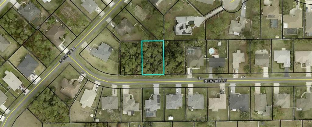This is an aerial map showing a vacant, wooded residential lot highlighted in blue — 5 PORPOISE LANE, PALM COAST, FL