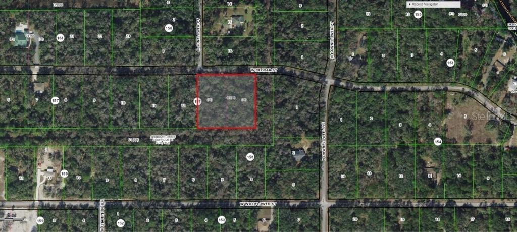 This is an aerial map showing a highlighted vacant lot surrounded by wooded residential parcels — 11924 W DEODAR STREET, CRYSTAL RIVER, FL
