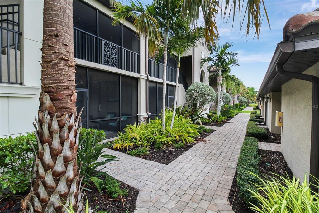 A paved walkway leads past a multi-story building with screened balconies and tropical landscaping — 5517 PALMER CIRCLE UNIT 105, BRADENTON, FL