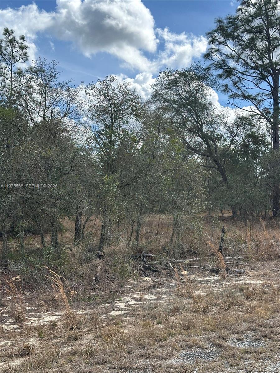 OCALA, FL — photo 3 of 3