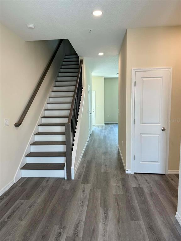 A staircase with dark wood treads and white risers sits beside a white interior door — 4344 CAMBIO GARDENS COURT, TAMPA, FL