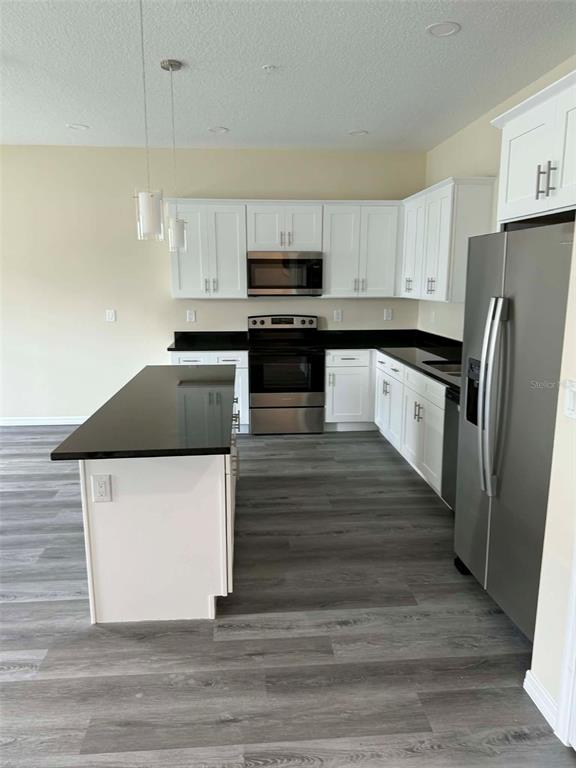 A kitchen features white cabinets, black countertops, stainless steel appliances, and gray wood-look flooring — 4344 CAMBIO GARDENS COURT, TAMPA, FL