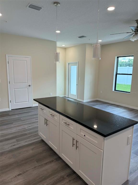 A kitchen island with white cabinets and a black countertop sits in a room with wood-look flooring — 4344 CAMBIO GARDENS COURT, TAMPA, FL