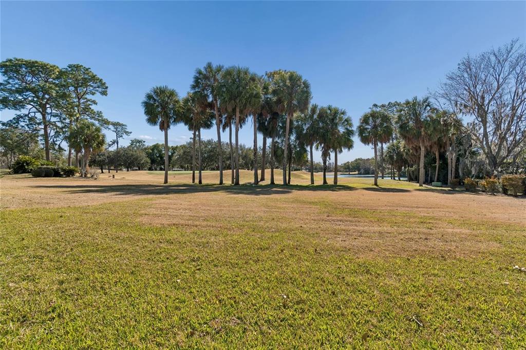 A grassy field with palm trees and a distant pond under a clear blue sky — 29244 WHIPPORWILL LANE, WESLEY CHAPEL, FL