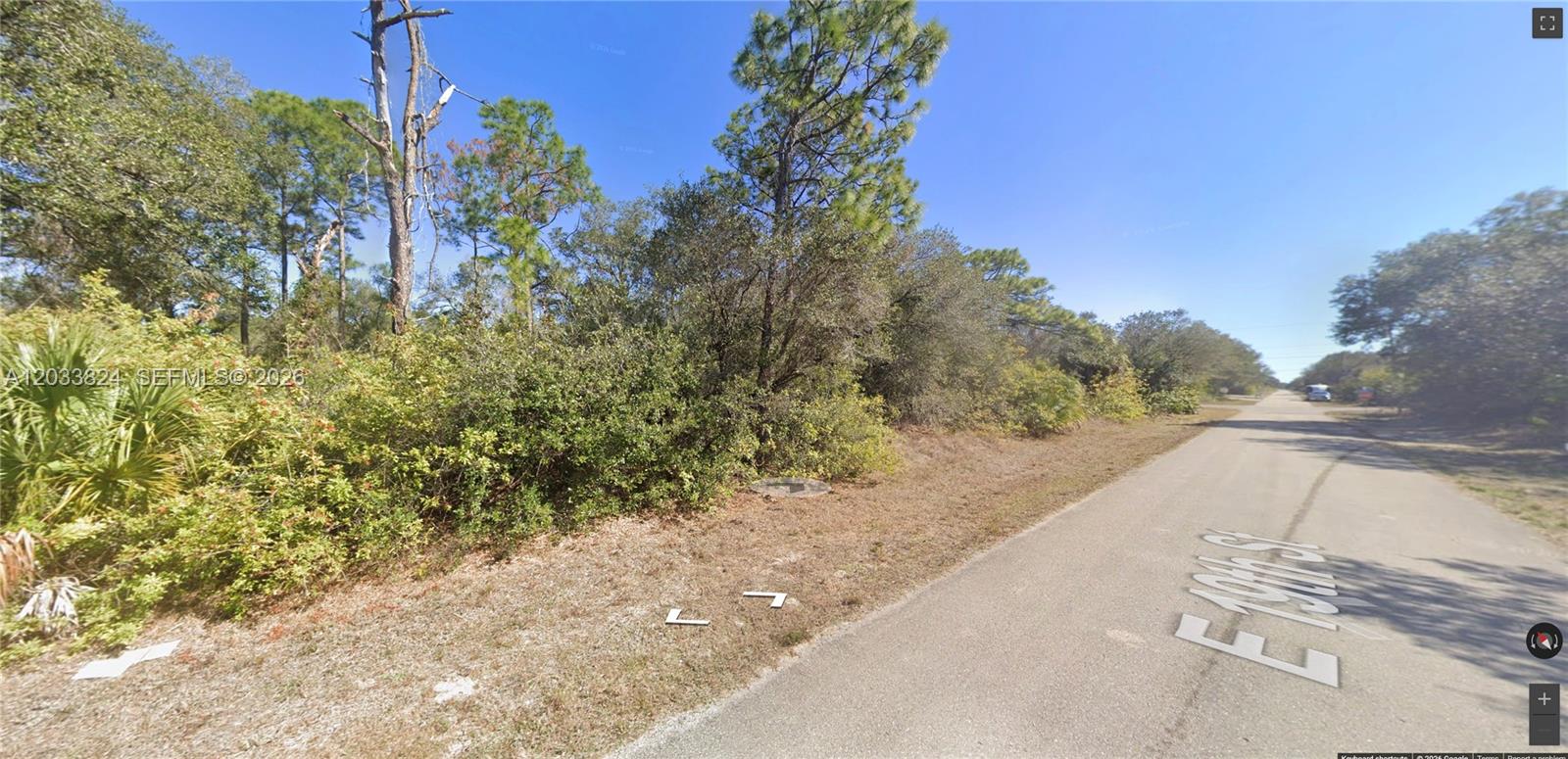 An undeveloped, wooded lot sits alongside a paved road under a clear blue sky — 2803 E 19th St, Lehigh Acres FL 33972, LEHIGH ACRES, FL