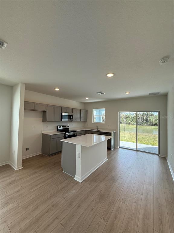 A kitchen with grey cabinets, a white island, and sliding glass doors overlooking a pond — 13044 SASSAFRAS TRAIL, PARRISH, FL