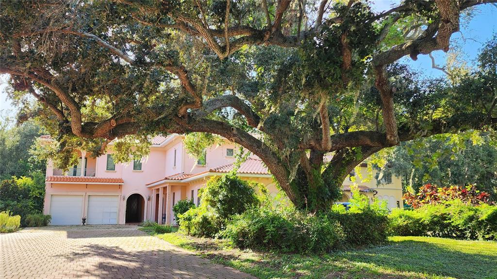 1962 FREEDOM DRIVE, CLEARWATER, FL — photo 2 of 30