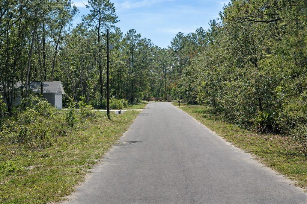 A paved road leads through a wooded area toward a small house on the left — MALAUKA PASS CIRCLE, OCKLAWAHA, FL