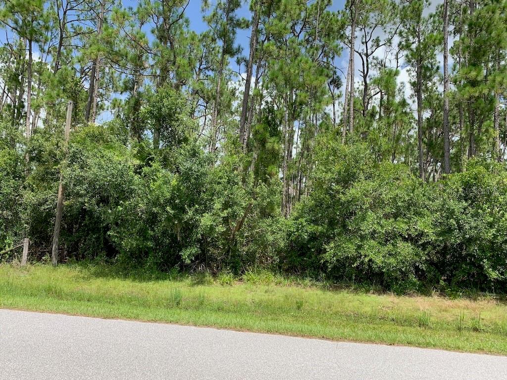 A view of a wooded, undeveloped lot from the edge of a paved road — JOE JEFF STREET, NORTH PORT, FL