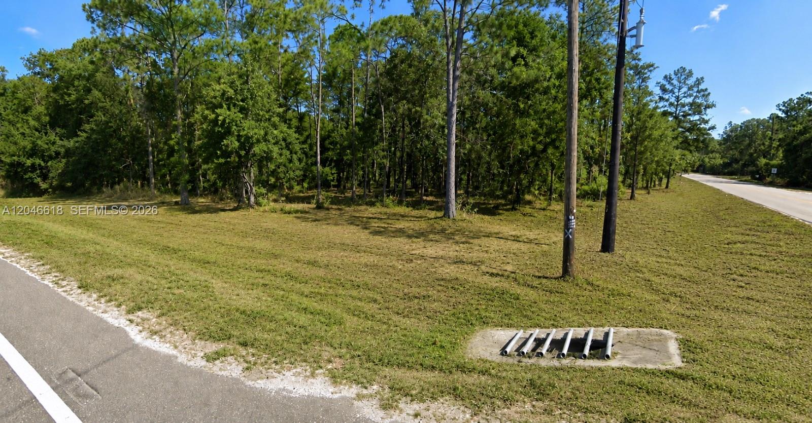 A vacant, grassy lot with trees borders a paved road and a utility pole — 3202 SR 66, Sebring FL 33185, SEBRING, FL