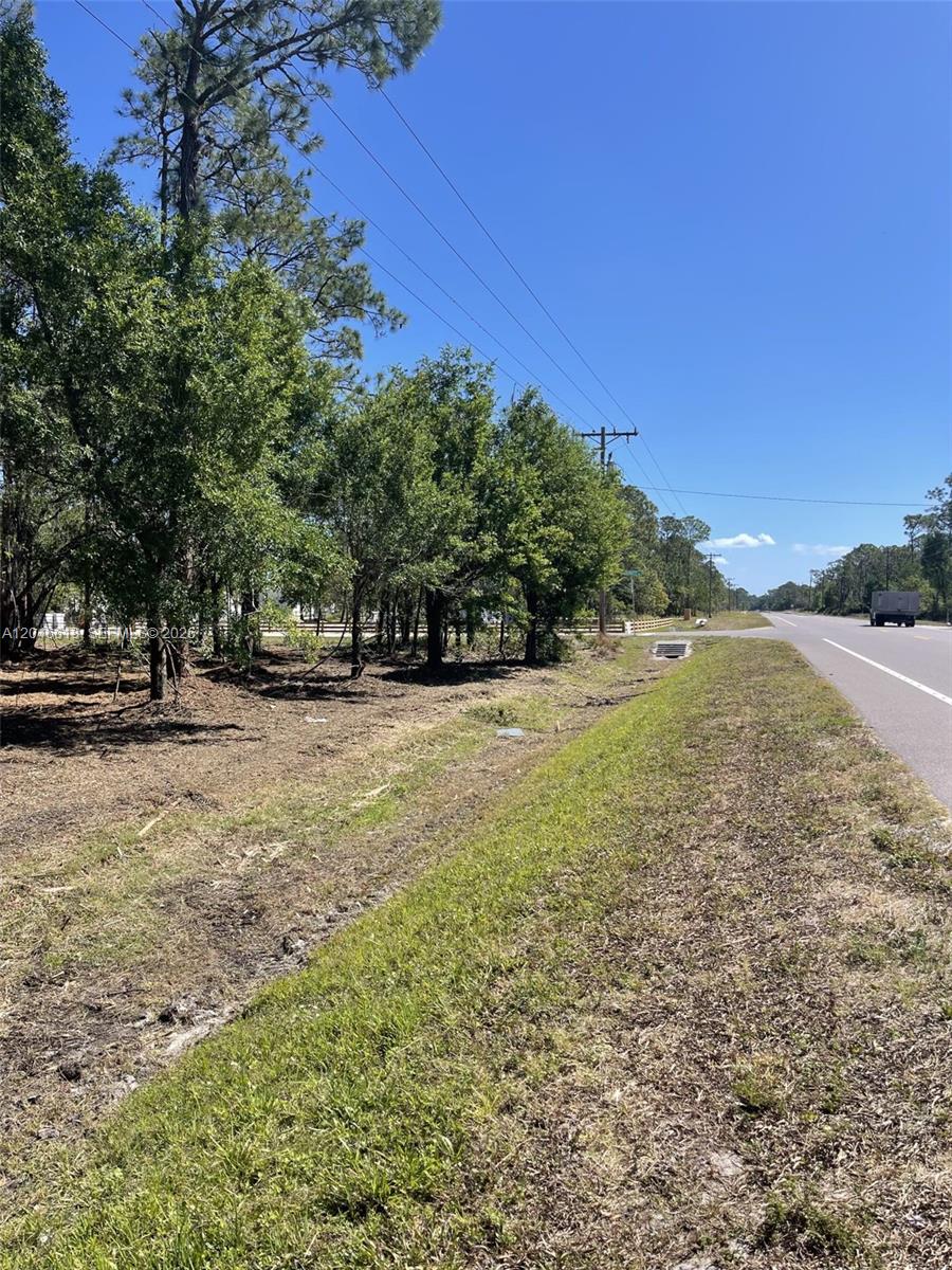 A vacant, grassy lot with trees sits beside a paved road under a clear sky — 3202 SR 66, Sebring FL 33185, SEBRING, FL