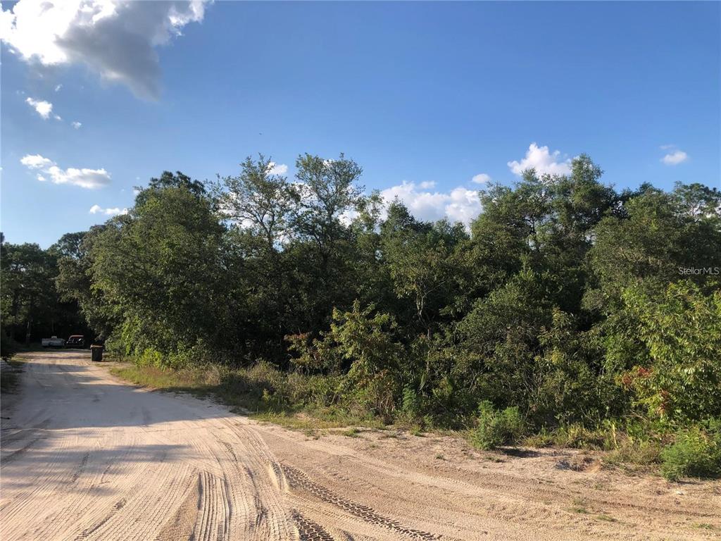 A dirt road leads to a densely wooded, undeveloped lot under a blue sky — 2610 N REHRER ROAD, AVON PARK, FL