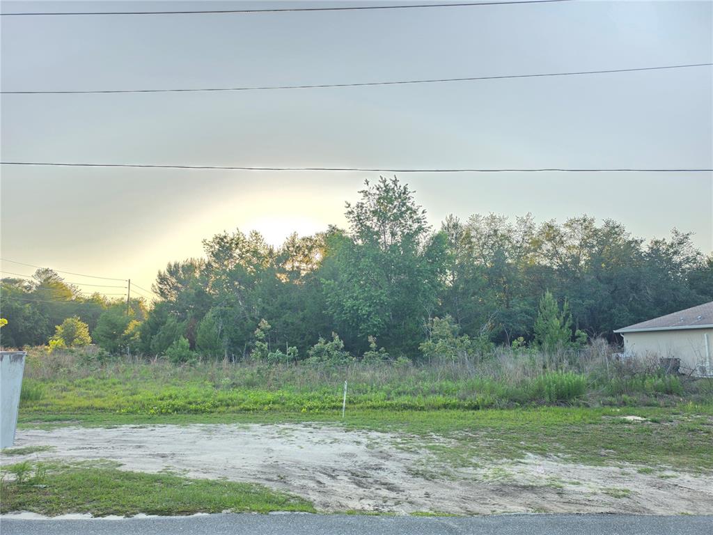 A vacant, grassy lot with trees in the background sits next to a residential house — SW 18TH AVE RIVER, OCALA, FL