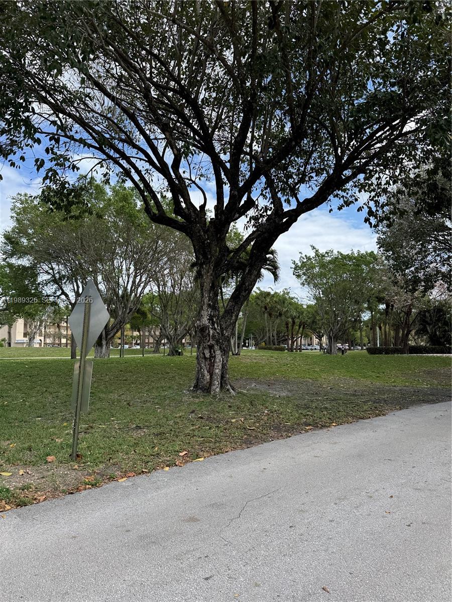 A large tree stands in a grassy park area next to a paved path — 6301 N Fall Circle Dr # 213, Lauderhill FL 33319, LAUDERHILL, FL