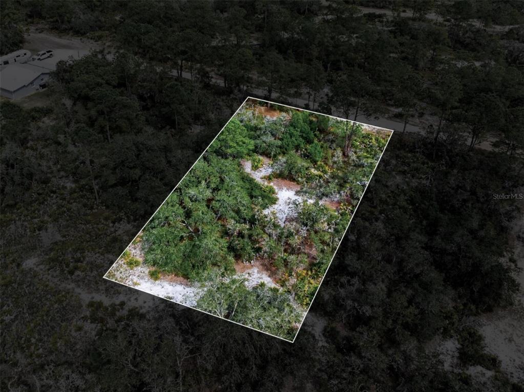 An aerial view shows a rectangular, wooded vacant lot outlined in white — 6705 BALSAM PLACE, SEBRING, FL