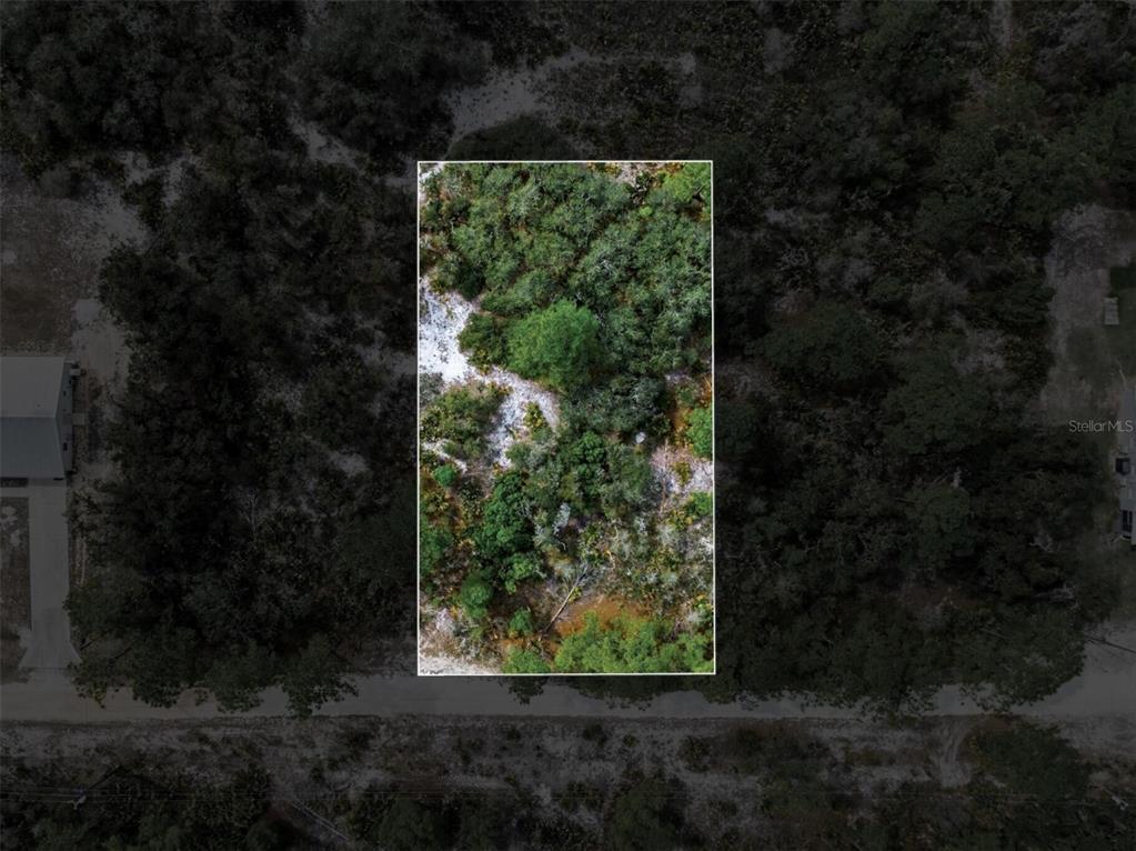 An aerial view of a rectangular, wooded vacant lot bordered by a road — 6705 BALSAM PLACE, SEBRING, FL