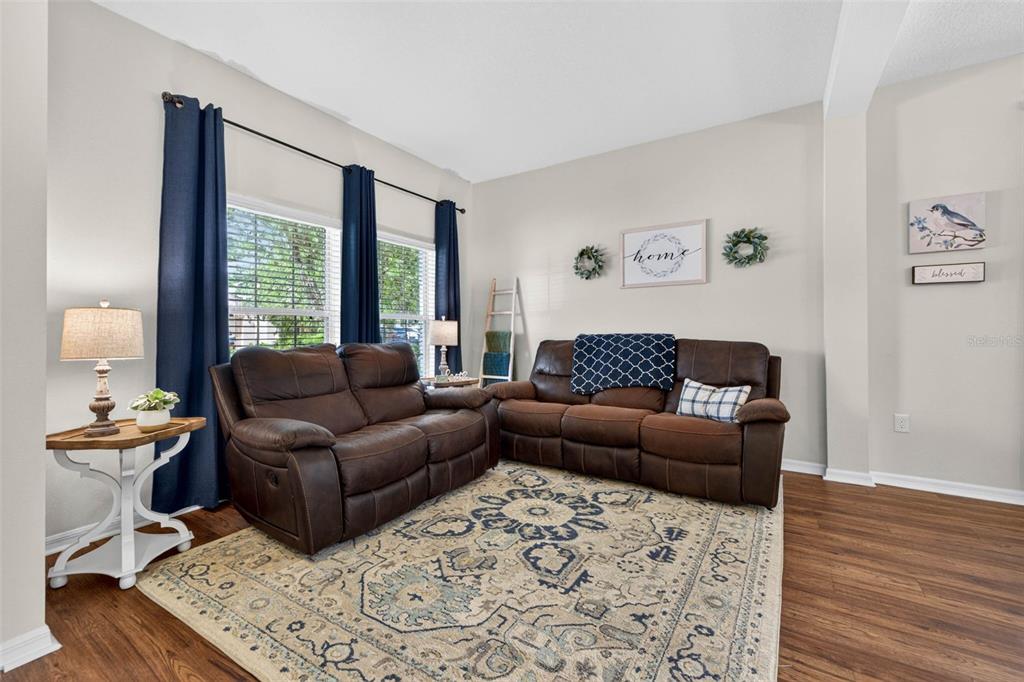 A living room features two brown leather sofas, a patterned area rug, and blue curtains — 9634 OAK GLADE AVENUE, TAMPA, FL