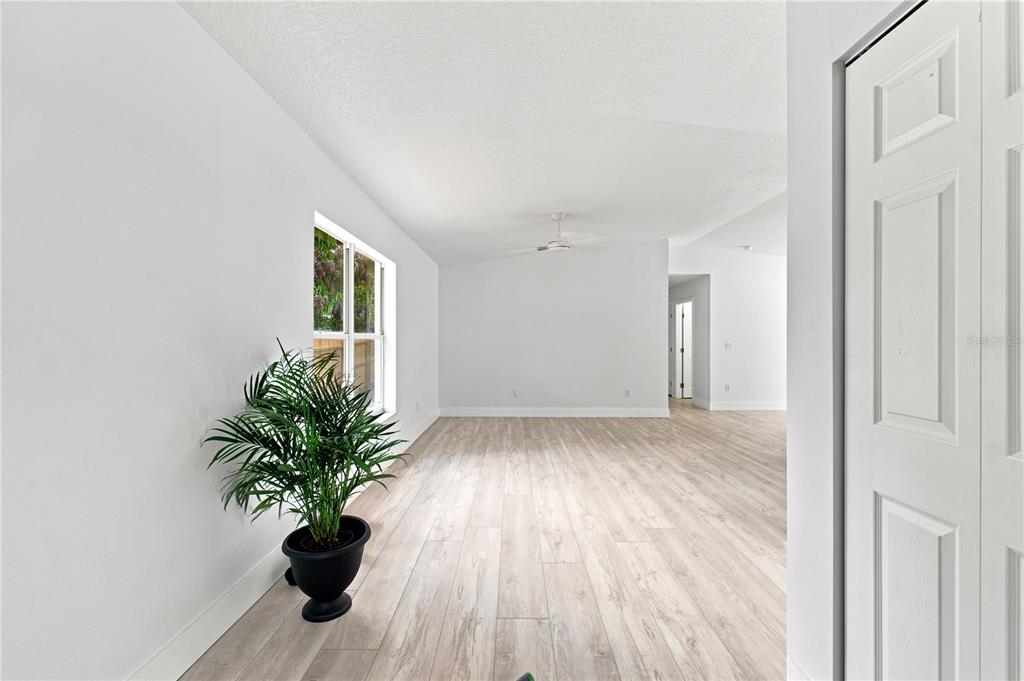 A bright, empty room features light wood-look flooring, white walls, and a potted palm plant — 6812 LYMAN AVENUE, TAMPA, FL