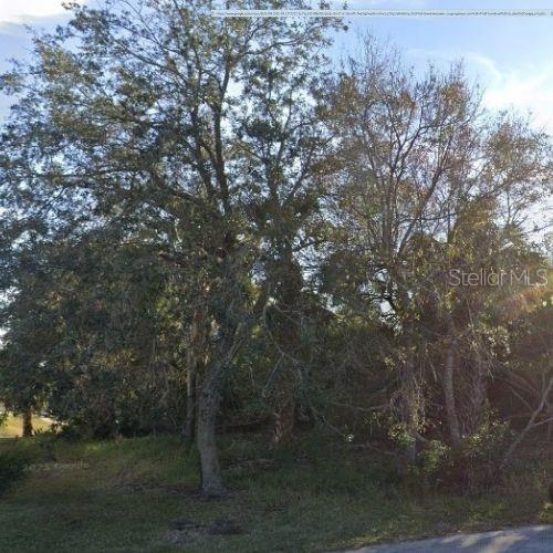 A view of a wooded lot with several large trees and overgrown vegetation — 6 CHER COURT, PALM COAST, FL