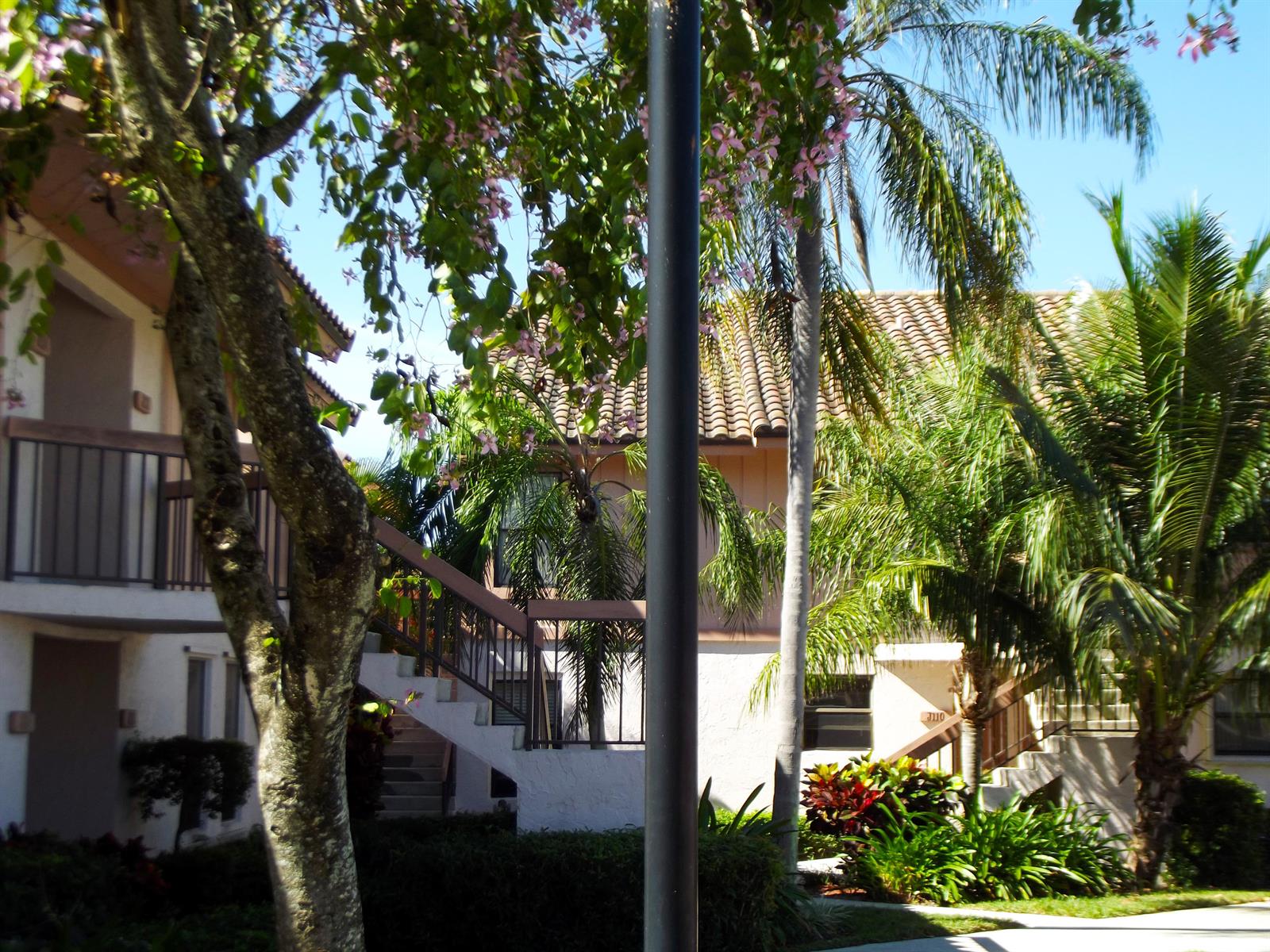 Exterior view of a two-story apartment building with stairs, palm trees, and flowering branches — 3355 Jaywood Terrace # 2140, Boca Raton FL 33431, BOCA RATON, FL