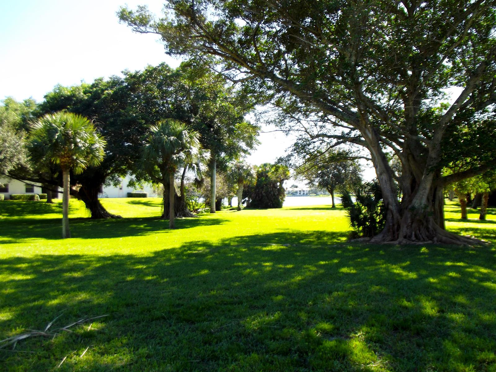 A grassy lawn with large trees and palm trees leads toward a distant body of water — 3355 Jaywood Terrace # 2140, Boca Raton FL 33431, BOCA RATON, FL