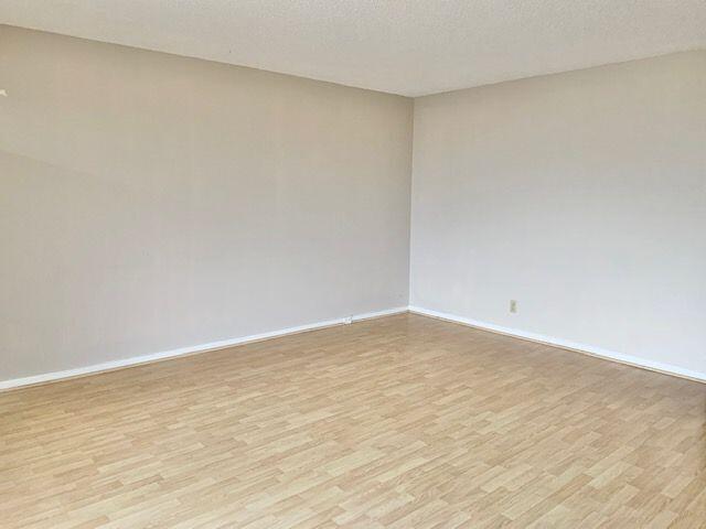 An empty room features light-colored walls and wood-look laminate flooring — 3063 Ainslie D, Boca Raton FL 33434, BOCA RATON, FL