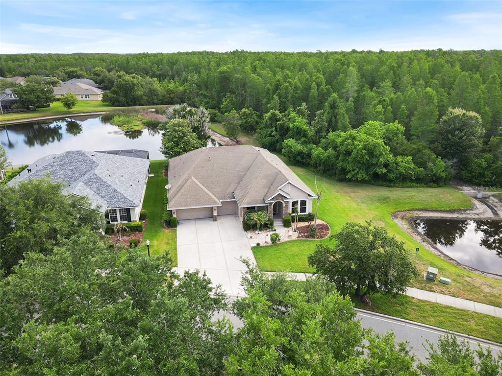 An aerial view shows a single-story house with a driveway, lawn, and two nearby ponds — 8434 WESTERLAND DRIVE, LAND O LAKES, FL