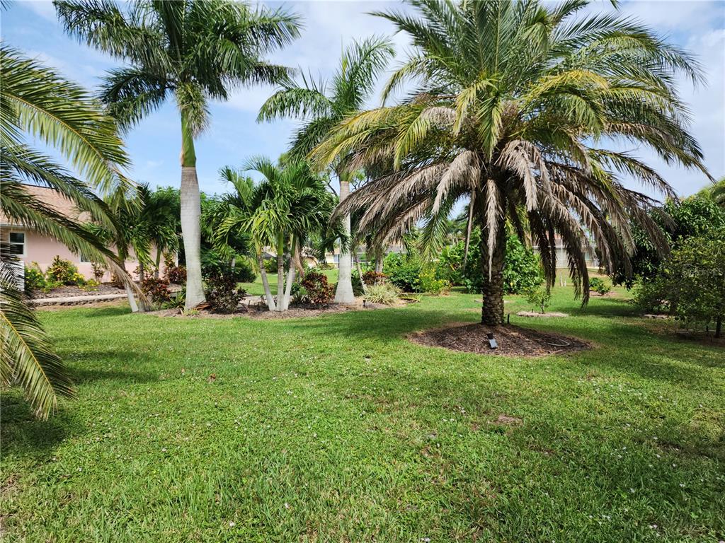 A grassy yard features several palm trees and a partial view of a house — 266 LONG MEADOW LANE, ROTONDA WEST, FL