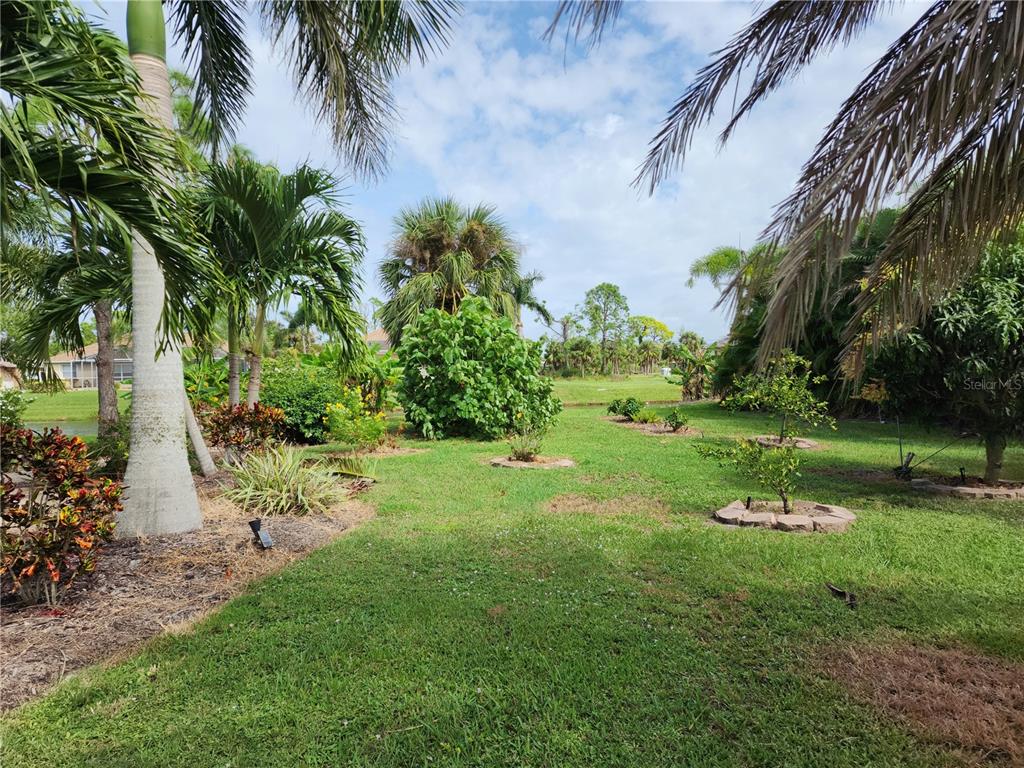 A grassy backyard features various palm trees, small shrubs, and a view of a pond — 266 LONG MEADOW LANE, ROTONDA WEST, FL